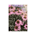 Blooming Through Darkness - Floral Print