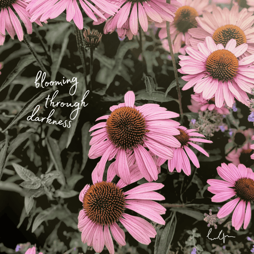 Blooming Through Darkness - Floral Print