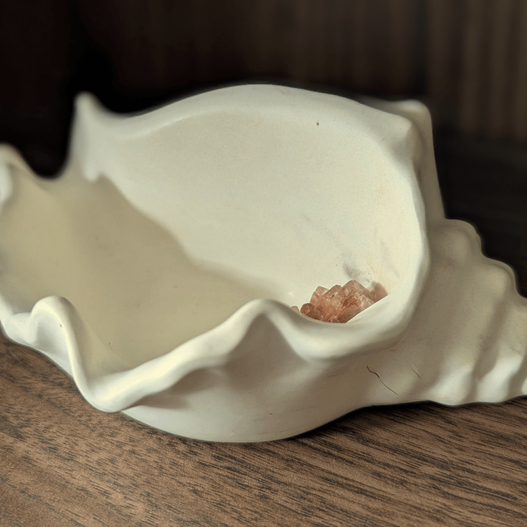 Echoes of the Earth - Shell Dish