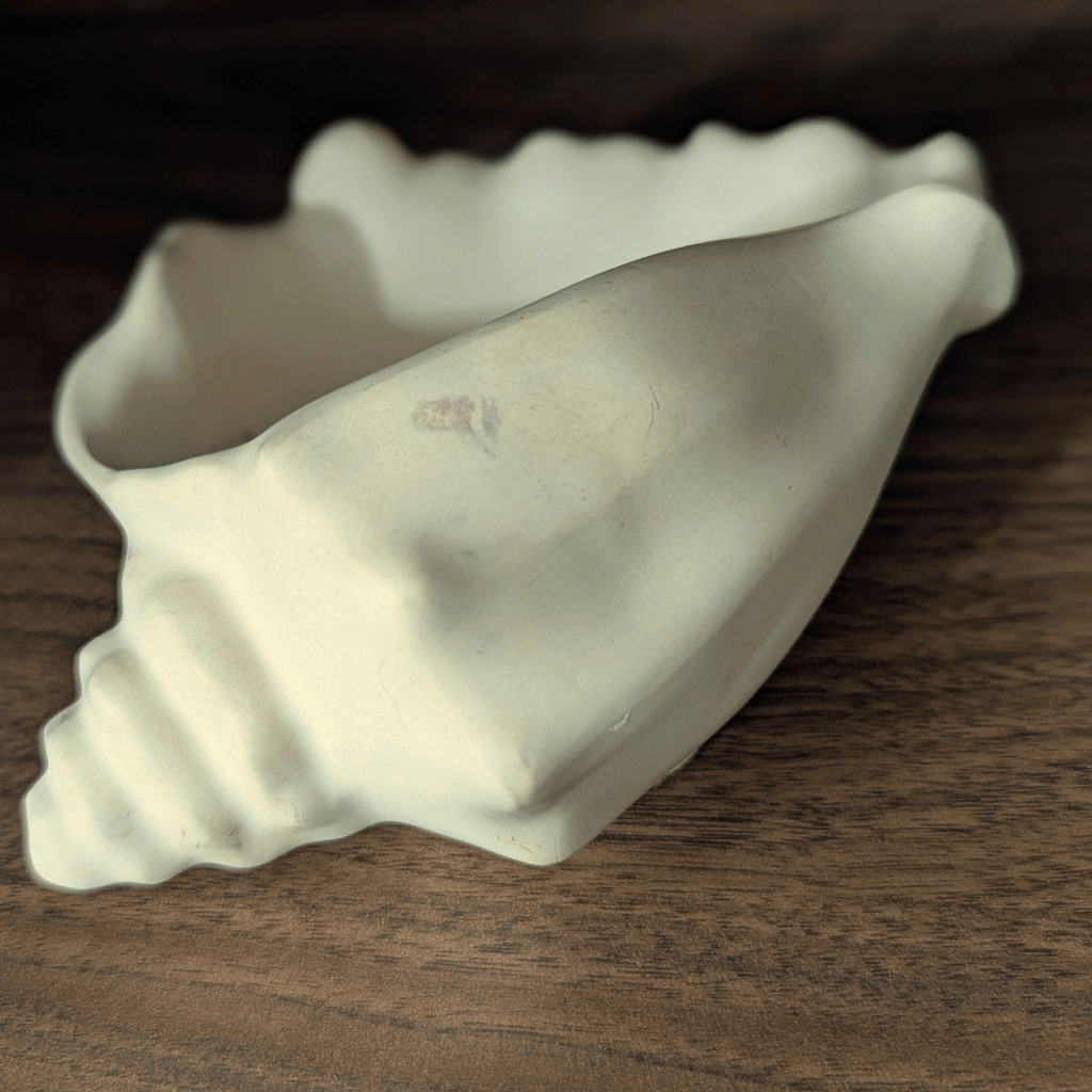 Echoes of the Earth - Shell Dish
