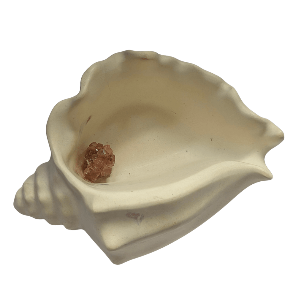 Echoes of the Earth - Shell Dish