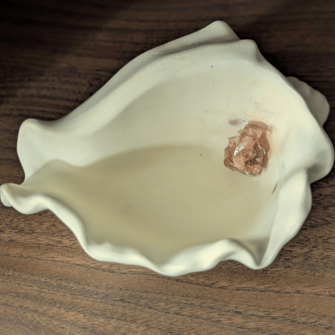 Echoes of the Earth - Shell Dish