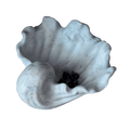 Smoky Shell Dish - Troubled Bloom